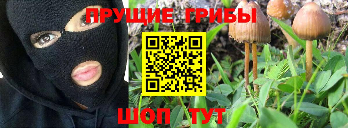 Ухта  Галлюциногенные грибы Psilocybe  Вход с VPN  Псилоцибиновые грибы мухоморы 
