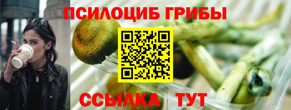 Галлюциногенные грибы Magic Shrooms Ухта